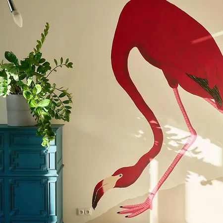 Flamingo Flat -